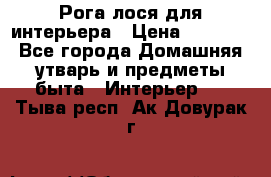 Рога лося для интерьера › Цена ­ 3 300 - Все города Домашняя утварь и предметы быта » Интерьер   . Тыва респ.,Ак-Довурак г.
